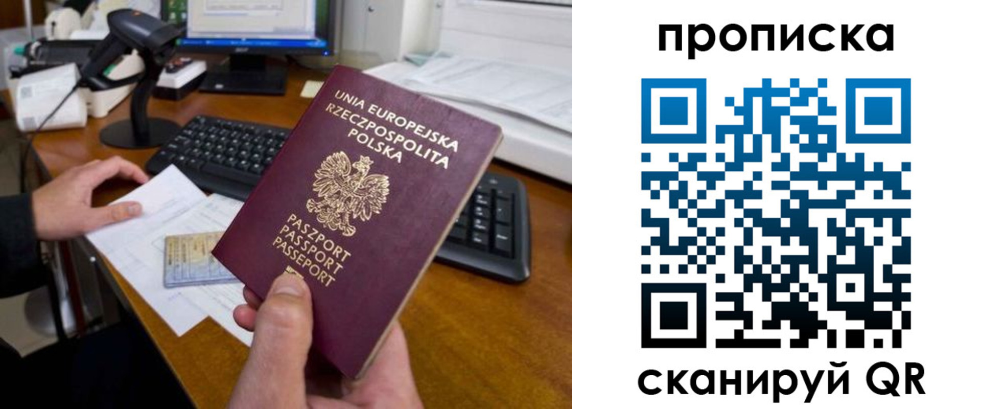 прописка для школы в Липецке